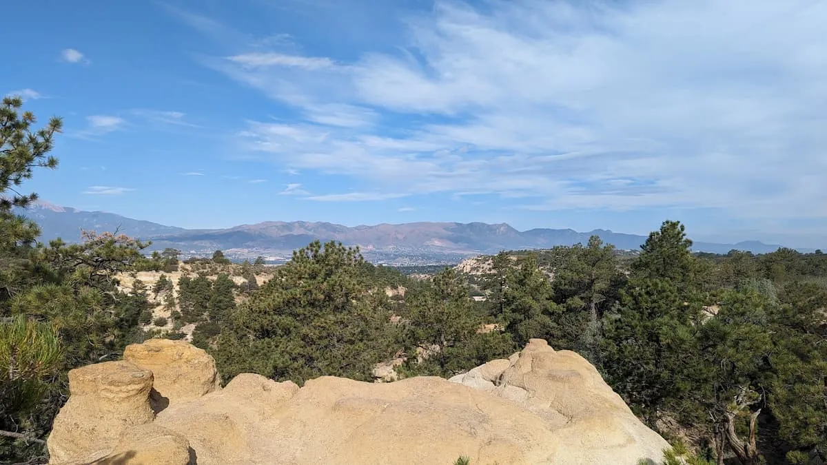Guardians of Palmer Park